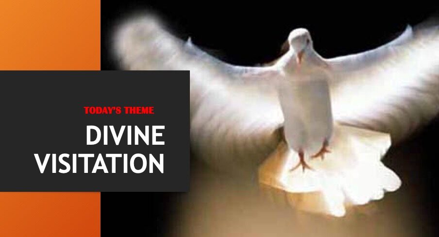 Divine Visitation