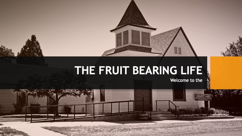 The Fruit Bearing Life